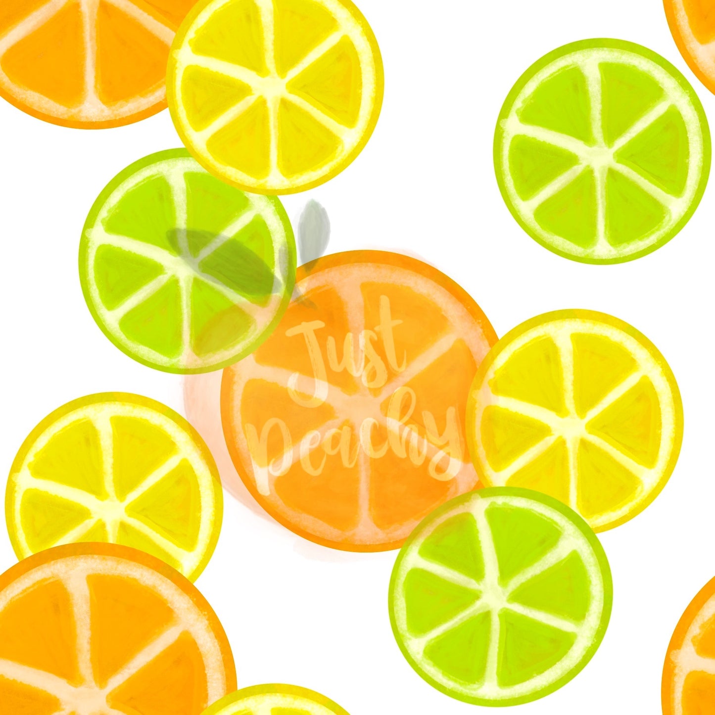 Citrus Slices - Multiple variations