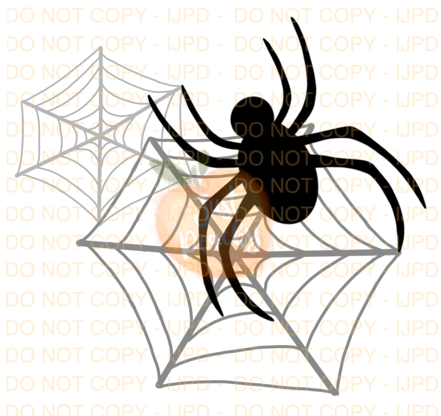 Spider PNG