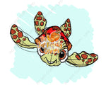 Little Turtle PNG