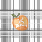 Plaid 15 - Multiple Versions