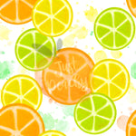 Citrus Slices - Multiple variations