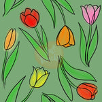 Tulips-Multiple Colors