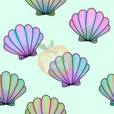 Seashells-Multiple Colors